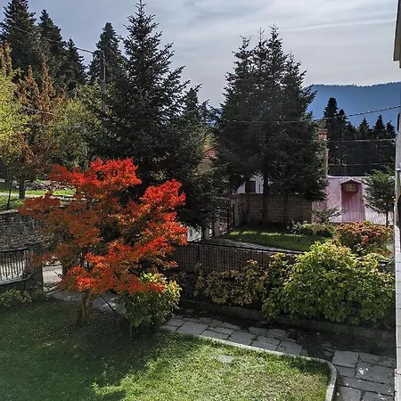 The House With The Hydrangeas