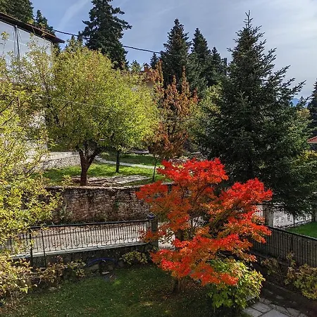 The House With The Hydrangeas