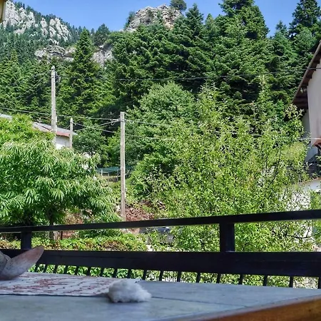 το σπίτι με τις ορτανσίες * Ελάτη