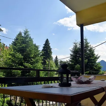 The House With The Hydrangeas *