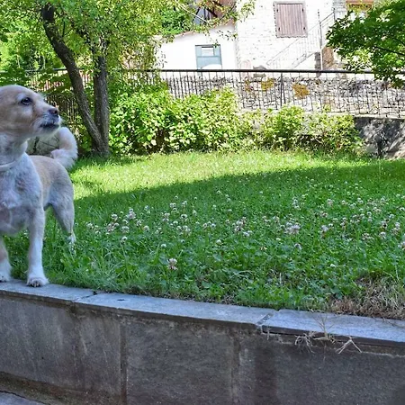 Lägenhet The House With The Hydrangeas