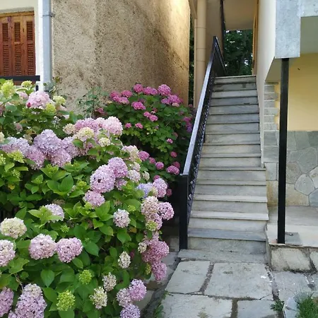 The House With The Hydrangeas * Eláti