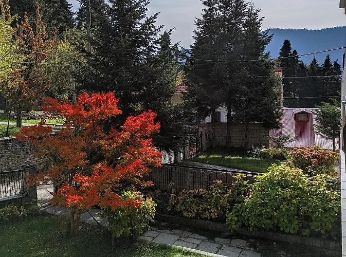 The House With The Hydrangeas