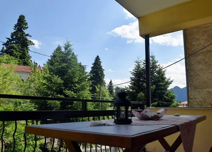 The House With The Hydrangeas *