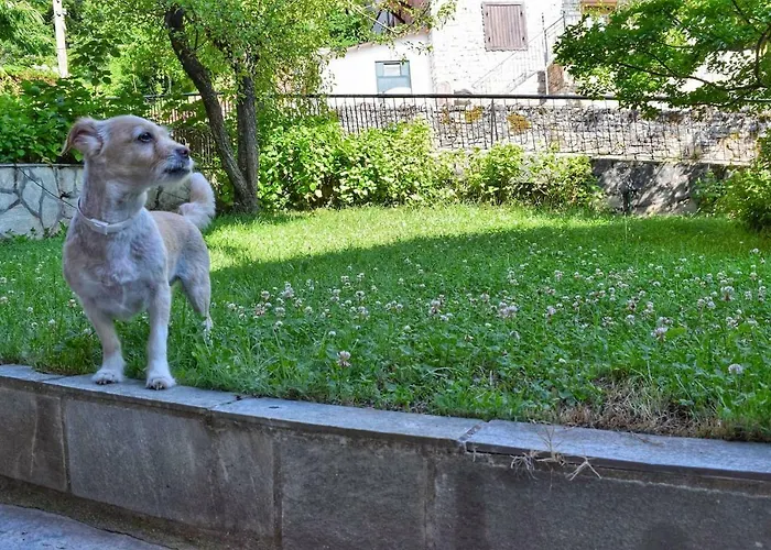 Apartmán The House With The Hydrangeas