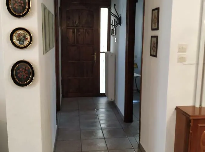 The House With The Hydrangeas *