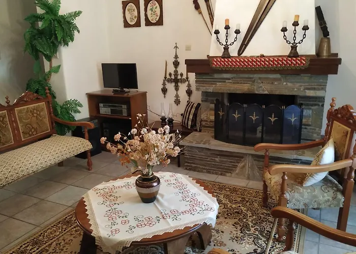 The House With The Hydrangeas