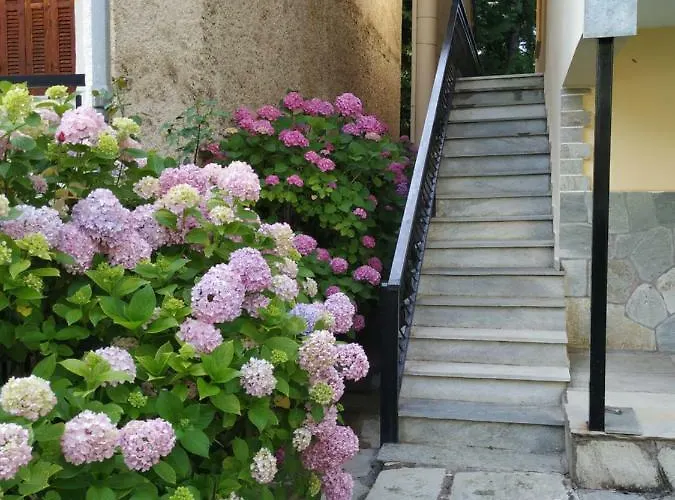 The House With The Hydrangeas * Eláti