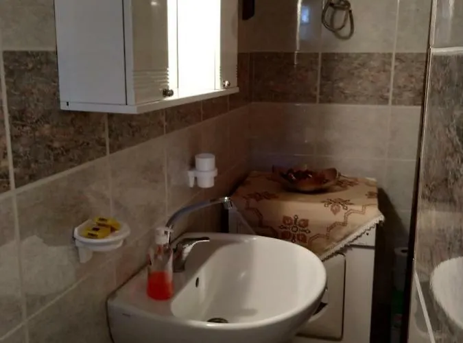 The House With The Hydrangeas *